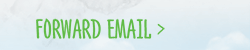 Forward Email