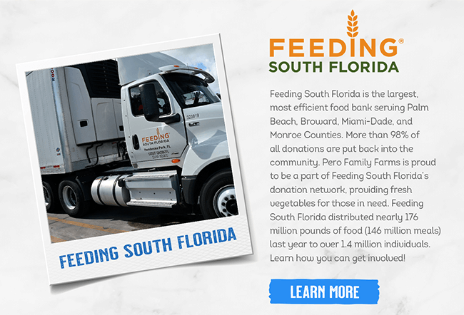 Feeding South Florida