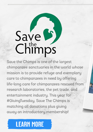 Save The Chimps - Learn More