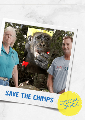 Save The Chimps - Special Offer