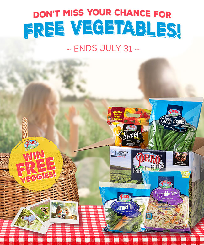 Summer Family Fun Giveaway