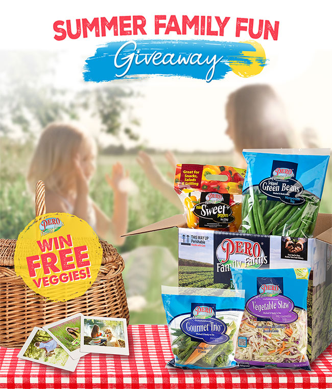 Summer Family Fun Giveaway