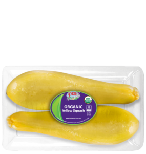 Organic Yellow Squash