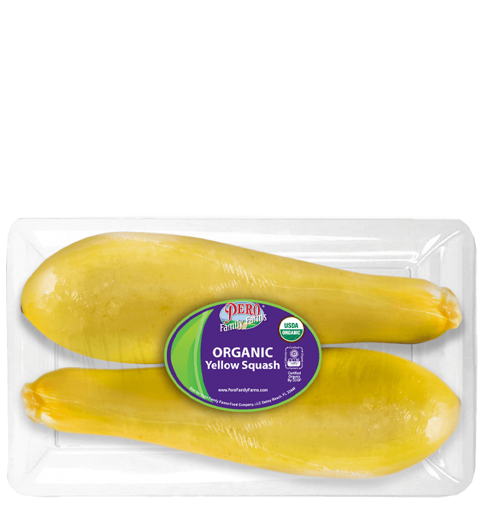 Yellow Squash